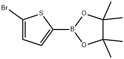 5-BROMOTHIOPHENE-2-BORONIC ACID PINACOL ESTER