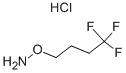O-(4,4,4-Trifluorobutyl)hydroxylamine hydrochloride
