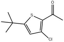 1-[5-(TERT-BUTYL)-3-CHLORO-2-THIENYL]ETHAN-1-ONE