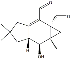 merulidial Structural