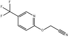 2-[[5-(TRIFLUOROMETHYL)-2-PYRIDYL]OXY]ACETONITRILE