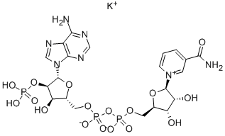 NADP MONOPOTASSIUM SALT