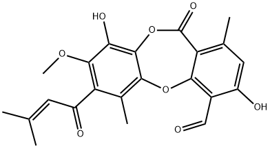 MOLLICELLINC