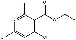 4,6-DICHLORO-2-METHYL-NICOTINIC ACID ETHYL ESTER