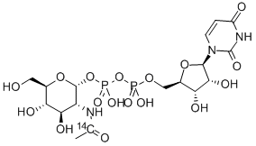 URIDINE DIPHOSPHATE N-ACETYL-D-GLUCOSAMINE, [ACETYL-1-14C] Structural