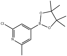 2-CHLORO-6-METHYLPYRIDINE-4-BORONIC ACID PINACOL ESTER Structural