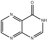 4-HYDROXYPTERIDINE