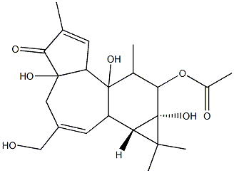 PHORBOL 12-MONOACETATE, 4BETA Structural