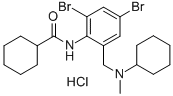 IFT 1025 Structural