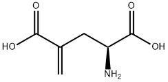 GAMMA-METHYLENE-DL-GLUTAMIC ACID Structural