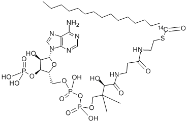 PALMITOYL COENZYME A, [PALMITOYL-1-14C] Structural