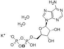 ADENOSINE 5'-DIPHOSPHATE MONOPOTASSIUM SALT