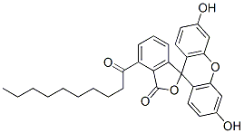 decanoyl fluorescein Structural