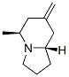 Indolizine, octahydro-5-methyl-7-methylene-, (5S,8aS)- (9CI) Structural