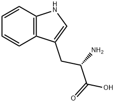 L-Tryptophan Structural Picture