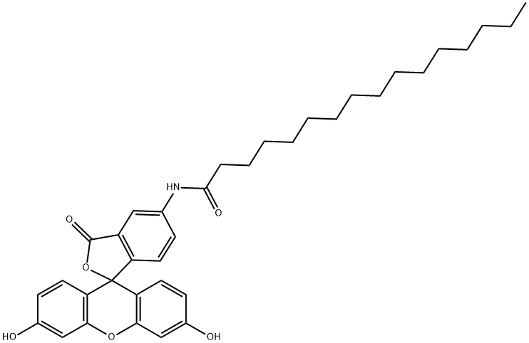 5-HEXADECANOYLAMINOFLUORESCEIN Structural