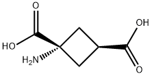 1-AMINOCYCLOBUTANE-CIS-1,3-DICARBOXYLIC ACID