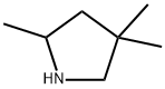 2,4,4-TRIMETHYL-PYRROLIDINE Structural