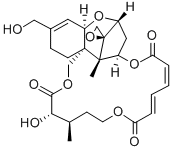 16-HYDROXYVERRUCARINA Structural