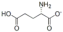 Glutamate Structural