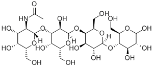 Globo-N-tetraose Structural