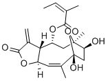 NIVEUSINC Structural