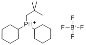 DICYCLOHEXYLNEOPENTYLPHOSPHINE HBF4 SALT