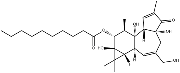 PHORBOL-12-DECANOATE