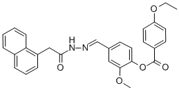 SALOR-INT L451630-1EA