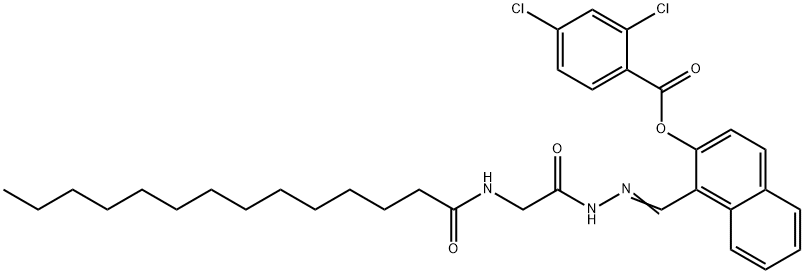SALOR-INT L403628-1EA
