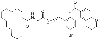 SALOR-INT L402095-1EA