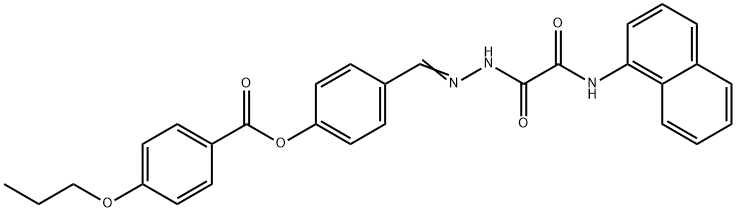 SALOR-INT L456969-1EA