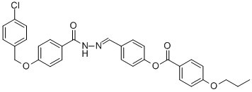 SALOR-INT L455296-1EA