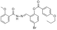 SALOR-INT L455199-1EA