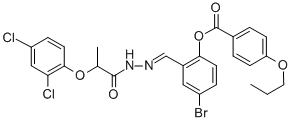 SALOR-INT L495565-1EA Structural