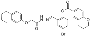 SALOR-INT L495492-1EA