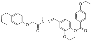 SALOR-INT L495417-1EA