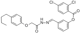 SALOR-INT L495298-1EA