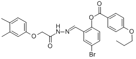 SALOR-INT L495182-1EA Structural