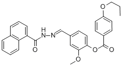 SALOR-INT L454036-1EA