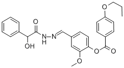 SALOR-INT L494925-1EA