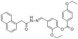 SALOR-INT L450820-1EA