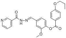 SALOR-INT L494690-1EA