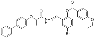 SALOR-INT L494569-1EA