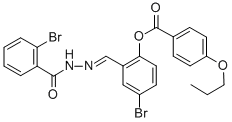 SALOR-INT L490601-1EA