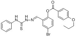 SALOR-INT L402621-1EA Structural