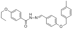 SALOR-INT L460478-1EA