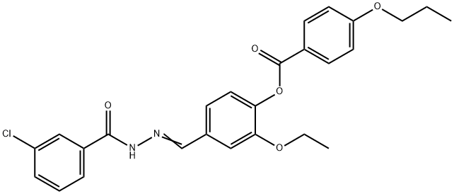 SALOR-INT L489794-1EA