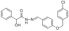 SALOR-INT L489743-1EA