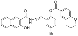 SALOR-INT L401536-1EA